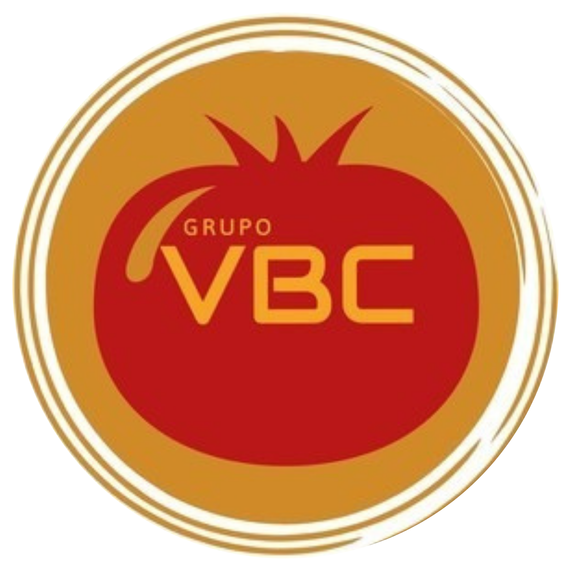 Logo Grupo VIBC
